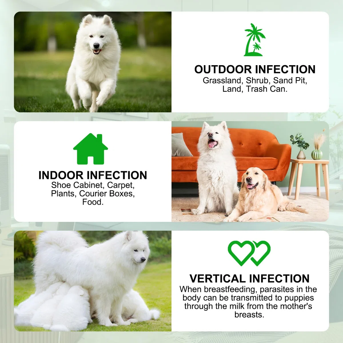 Masticabili Per La Prevenzione Di Pulci E Zecche Per Cani, Compresse Morbide Tick Shield, Integratore Naturale Pillole Orali Facili Da Usare Per La Protezione Contro I Parassiti(375G,150Masticabili)