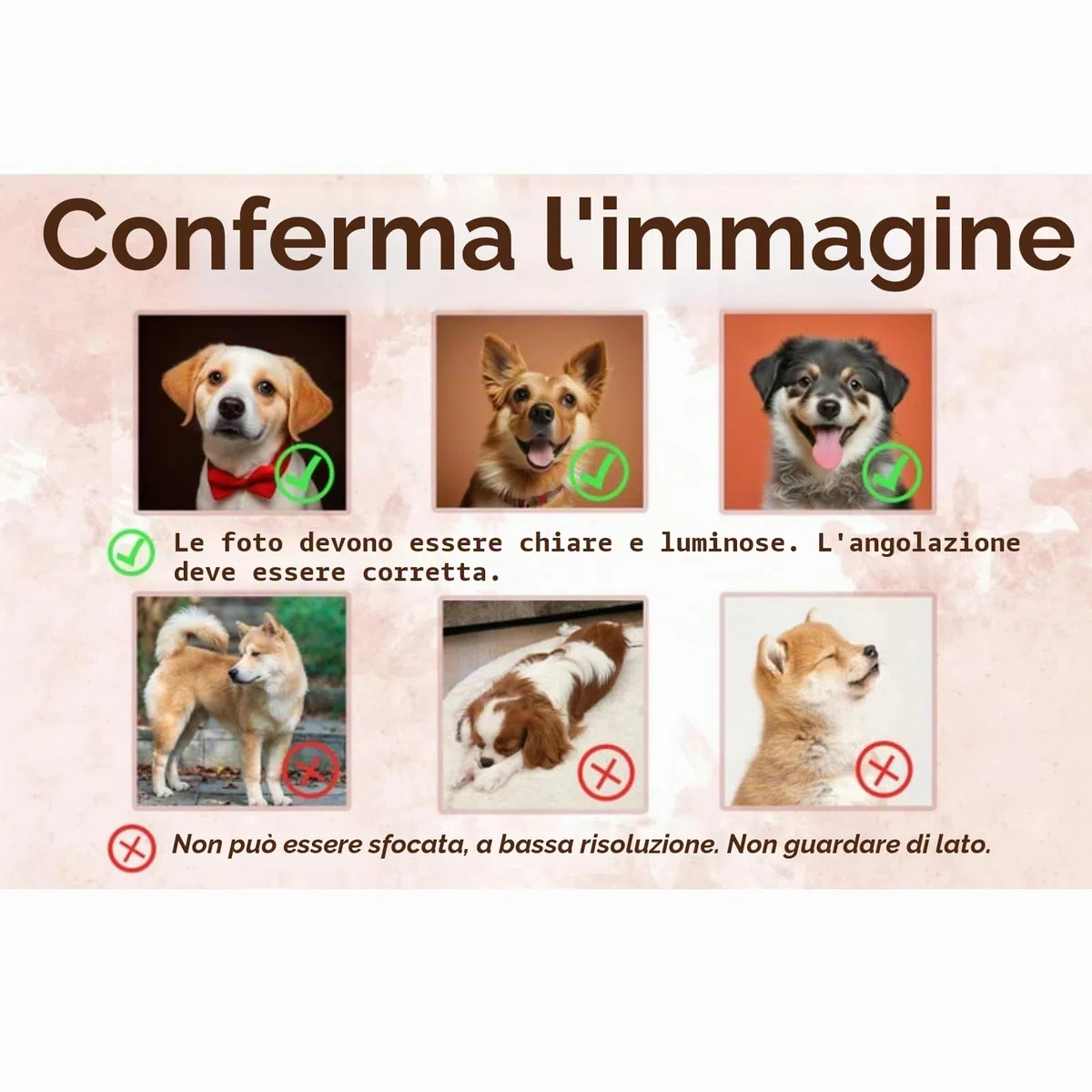Felpa personalizzata cane con foto + nome ricamato cappuccio