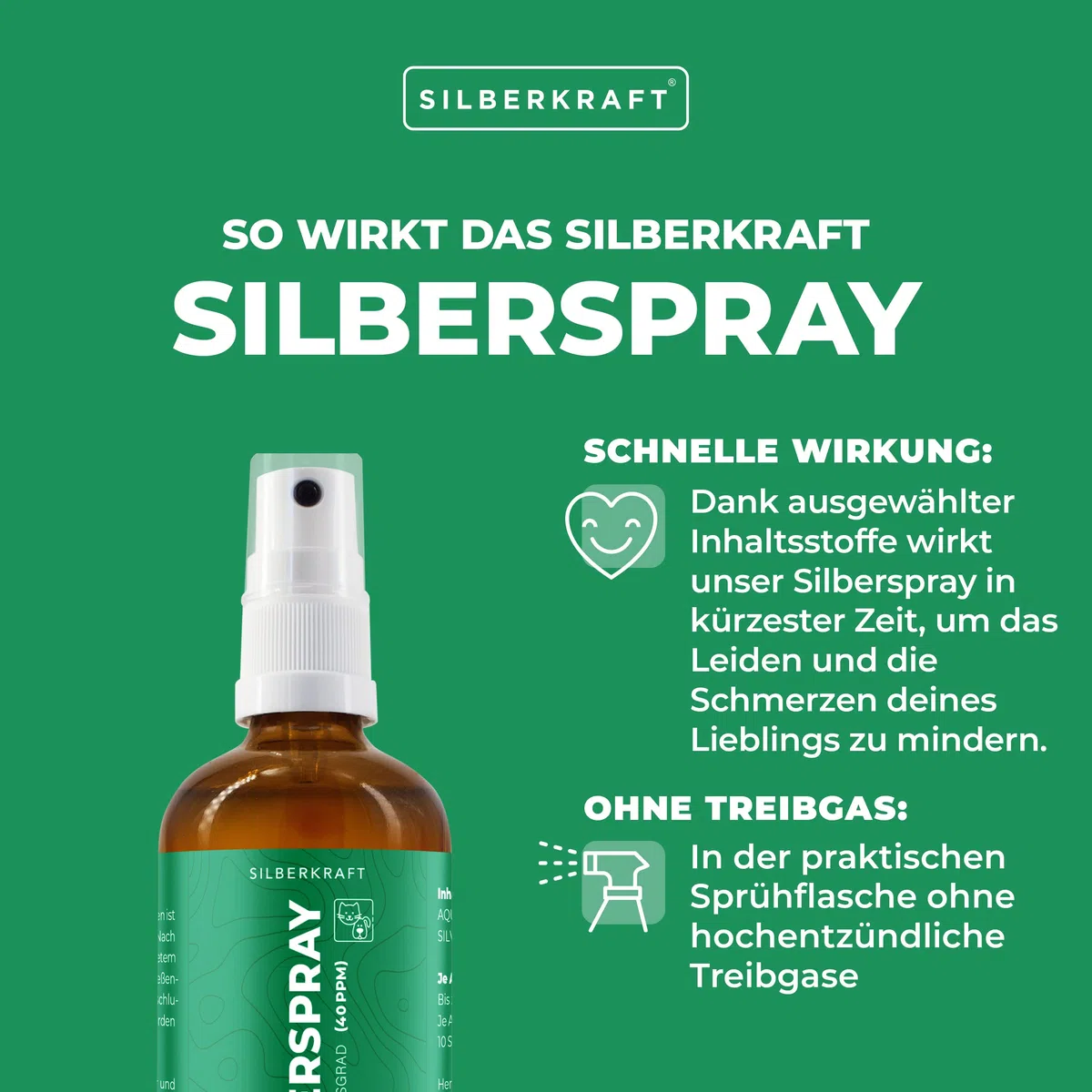 Silberkraft Spray colloidale per Argento, 100 ml, Spray per la guarigione delle ferite, Cura della Pelle in Caso di parassiti, prurito, infezioni, infiammazioni, per Cani, Gatti