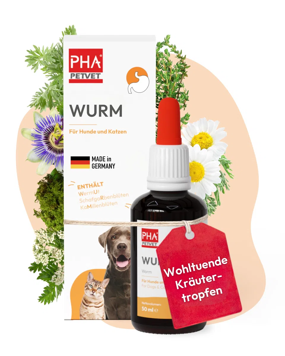 PHA Verme Gocce per Cane e Gatto – Trattamento naturale di vermi per Gatto e Cane, Agente per vermi secondario, Alternativa alle infestazioni da vermi, con vermi, achillea, timo, gocce da 50 ml