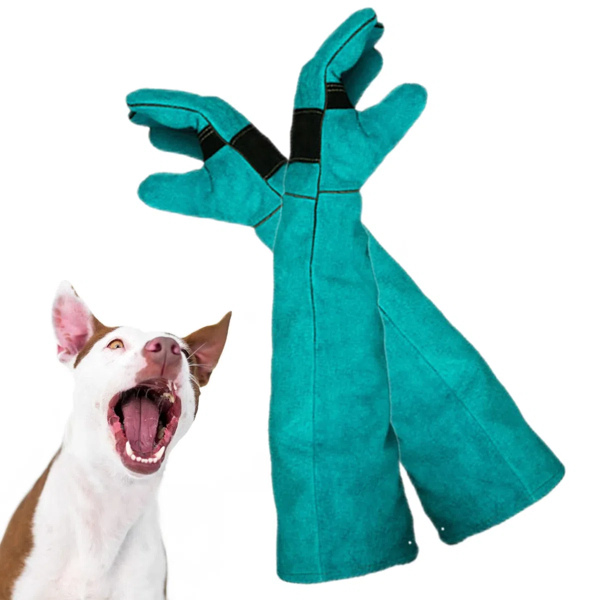 Guanti per la manipolazione degli animali, anti-morso e antigraffio, guanti da addestramento per cani, durevoli e impermeabili per animali domestici, da bagno, da alimentazione, da allenamento