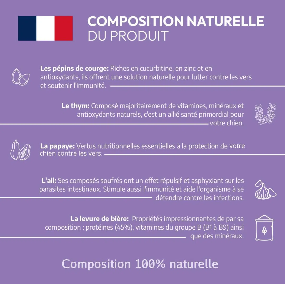 VERMIPURGE Vermifugo per cani in compresse naturali a base di principi attivi approvati dai servizi veterinari francesi (Versione francese, formato economico)