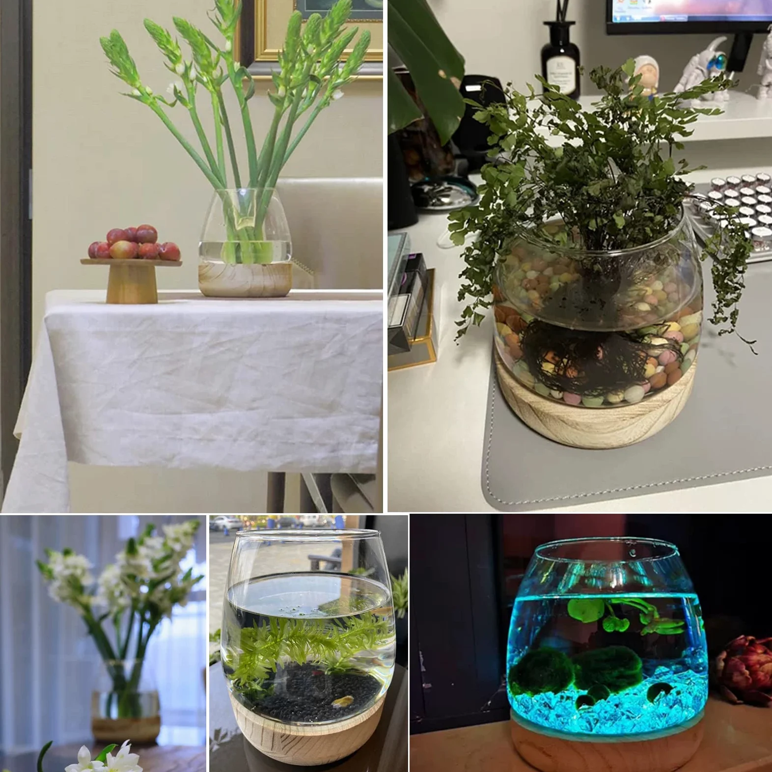 Mini Acquario in Vetro - Piccolo da Ufficio, Vaso Idroponico - Terrario Ecologico - Vaso da Fiori per Piante Betta Pesce Rosso - A