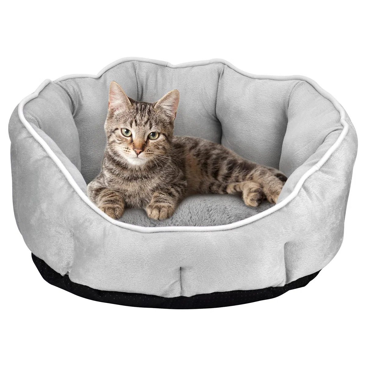 Queta Cuccia per cani, cuccia per cani e gatti, in peluche, morbida, 46 x 46 x 23 cm (grigio)