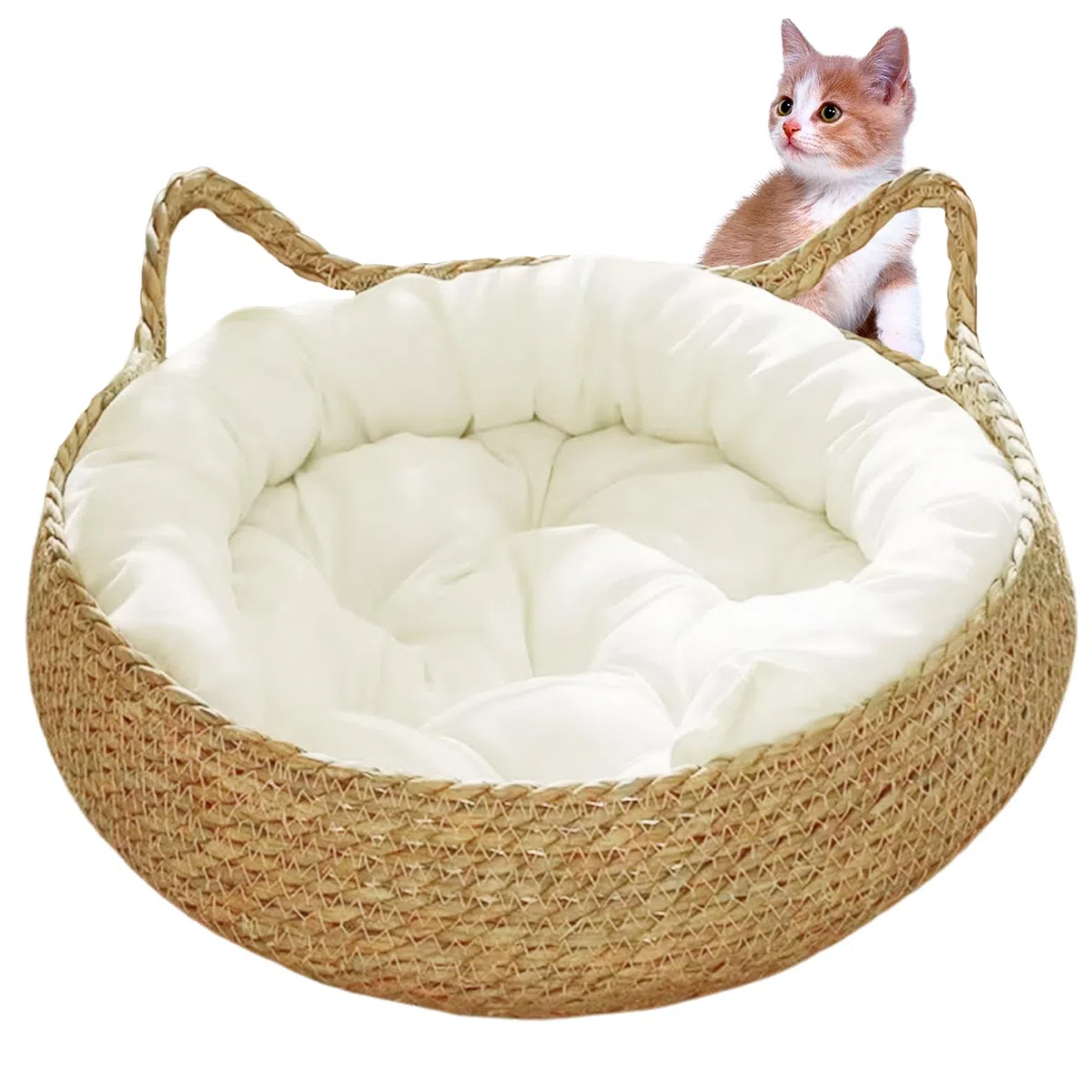 Letto a ciambella per gatti in vimini per gatti da interno, 38,1 x 12,7 cm, 2 in 1, cestino per gatti intrecciato con morbido cuscino antigraffio, comodo cestino rotondo in vimini per gatti