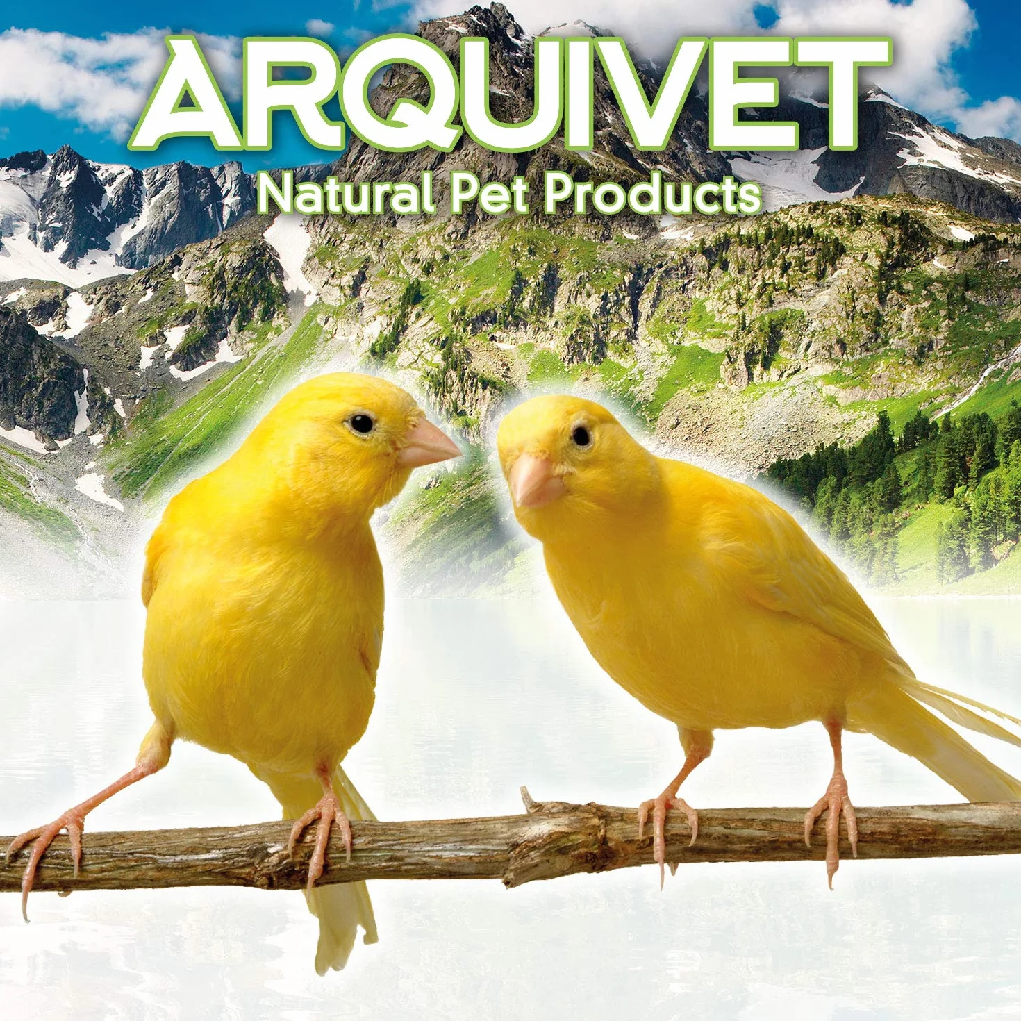 Arquivet Nido Legno per Pappagalli e Uccelli - Scatola Nido Naturale 25x25x40 cm