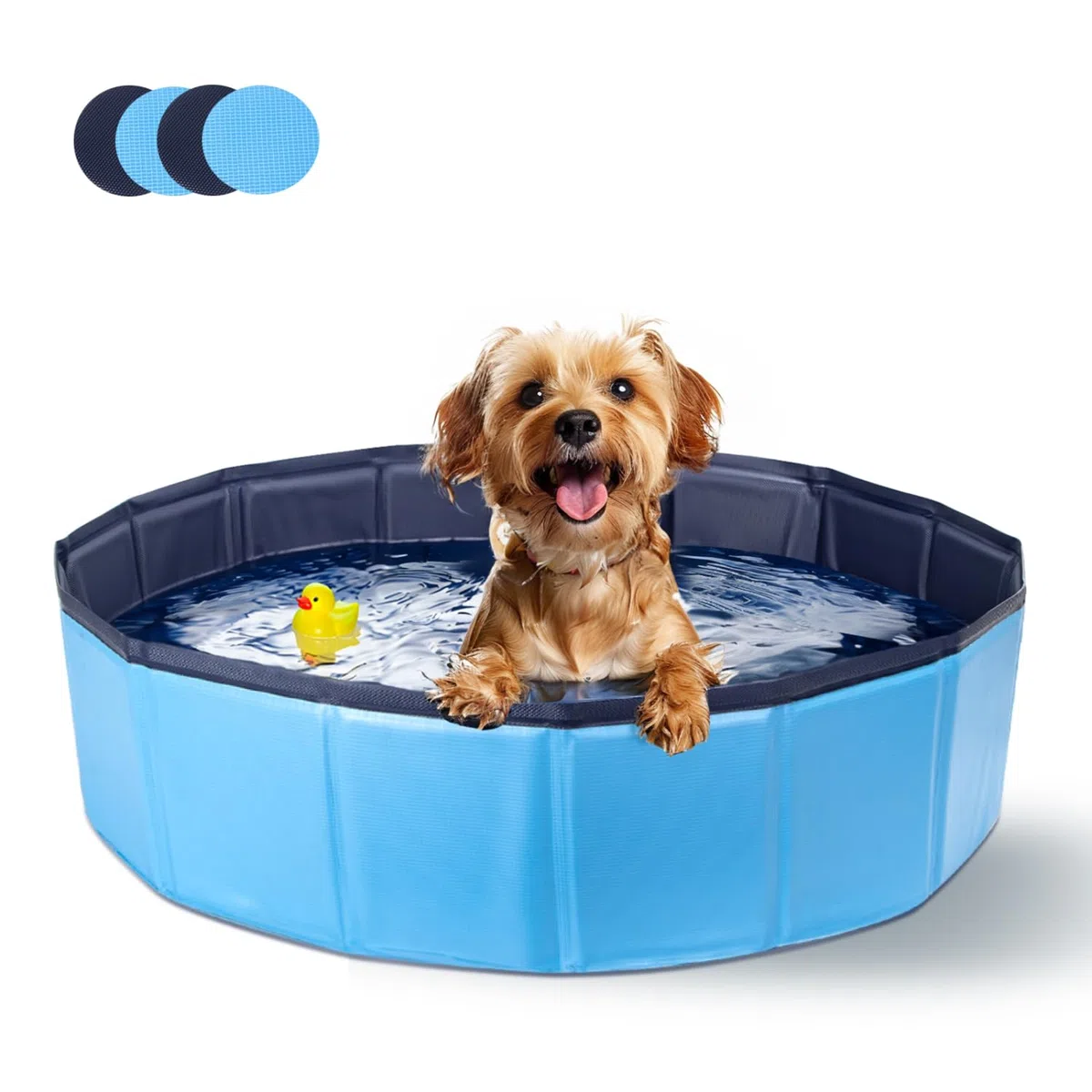 Nobleza Piscina per Cani Grandi e Piccoli, Piscina Pieghevole, Vasca da Bagno Rigida per Cani e Gatti, 80 * 20cm, S, Blu