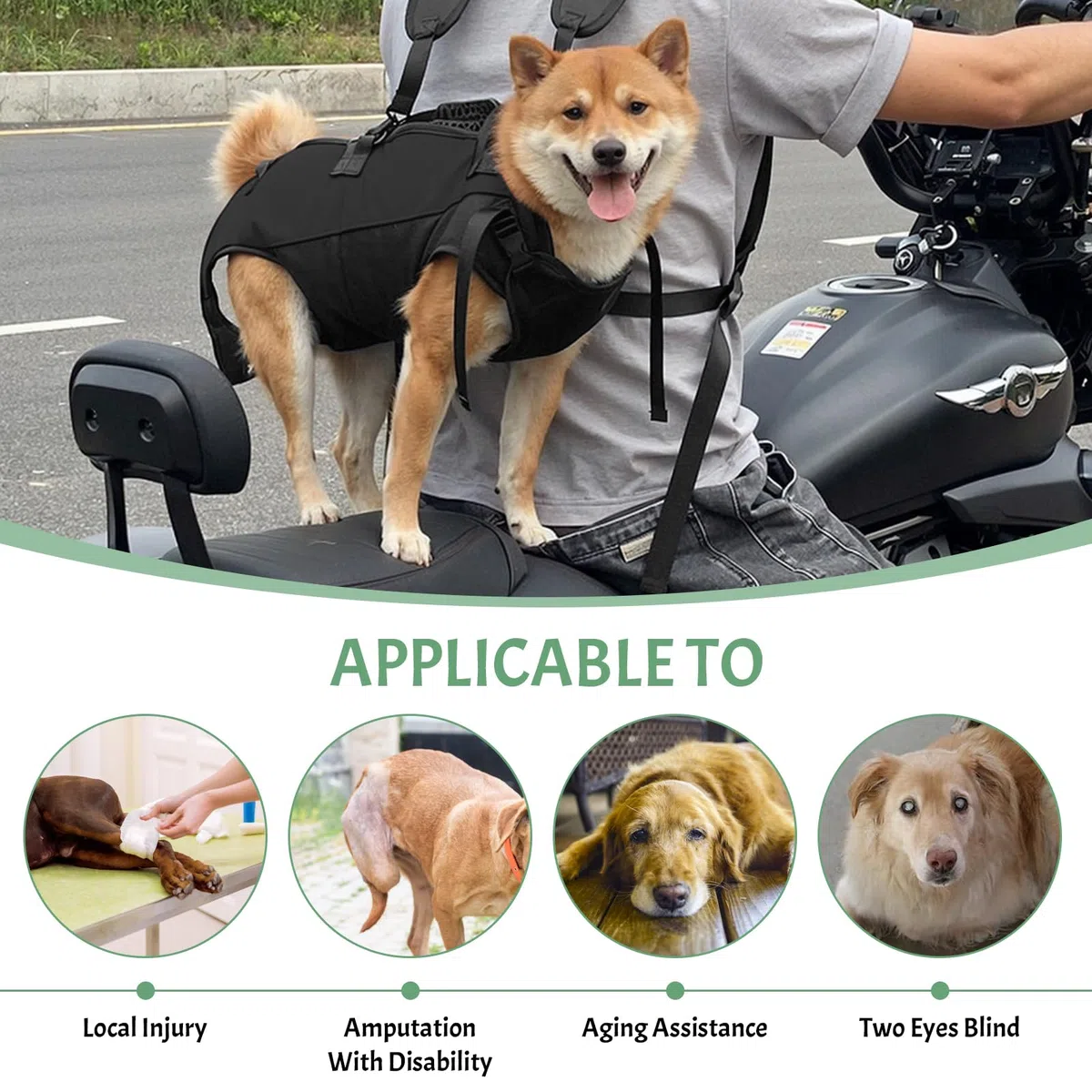 Zaino per Trasporto Cani, Imbracatura per Sollevamento Cane con Maniglia, Trasportino per Scale per Cane, Imbracatura per Recupero per Cani Anziani Feriti Disabili (L)