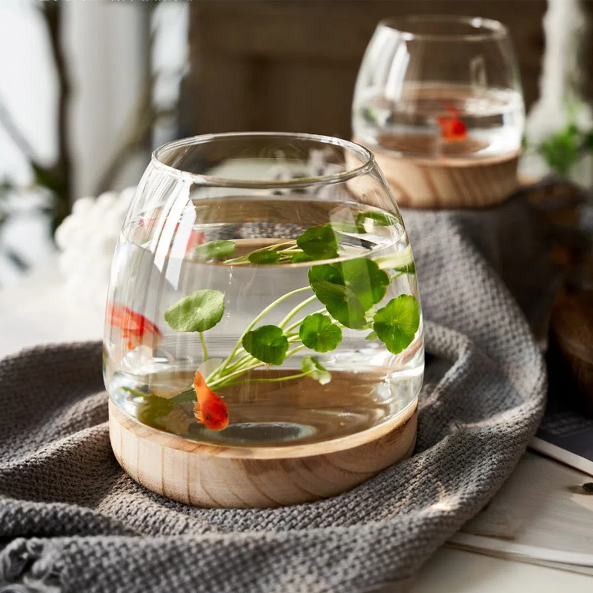 Mini Acquario in Vetro - Piccolo da Ufficio, Vaso Idroponico - Terrario Ecologico - Vaso da Fiori per Piante Betta Pesce Rosso - A