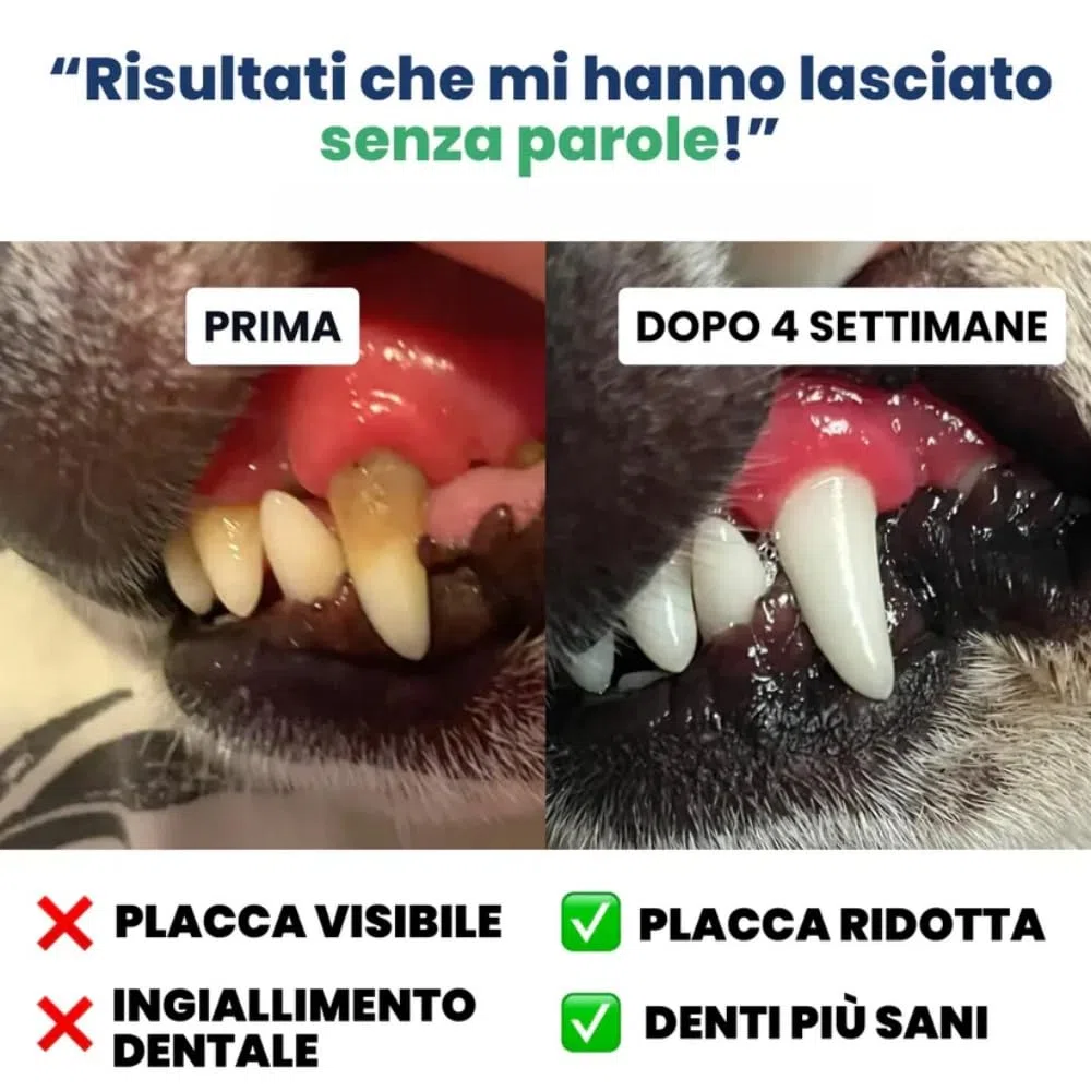 zampalife salviette dentali Adatto a cani e gatti,Confezione da 50 pezzi,Facile da usare, Riduzione Placca, Rinfresco Alito