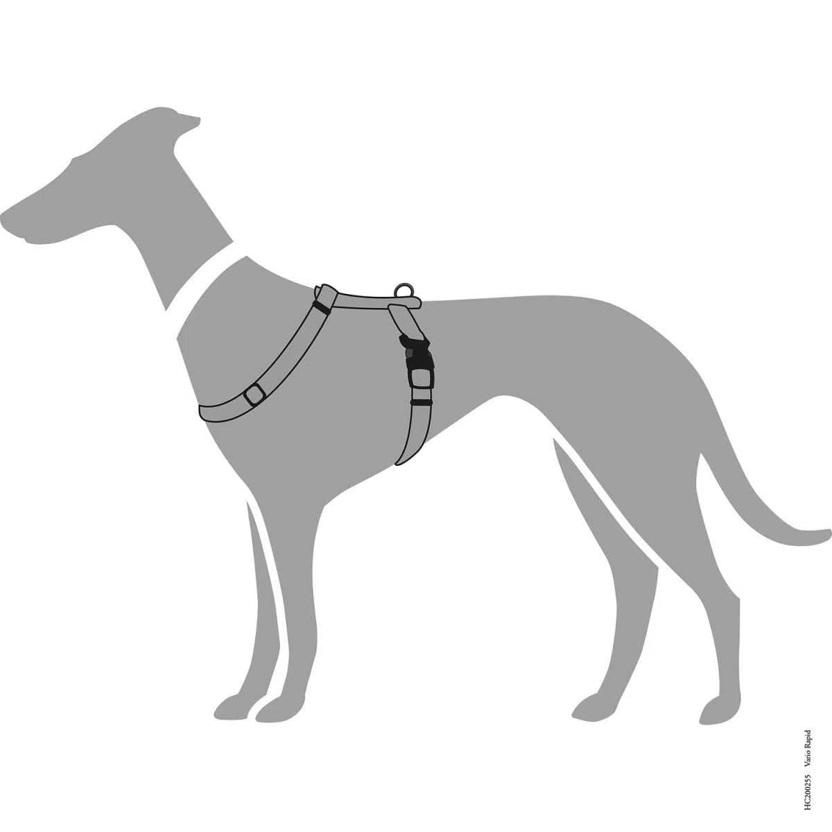 HUNTER Pettorina Vario-Rapid Gr. L/2564-100 cm, Nylon grigio