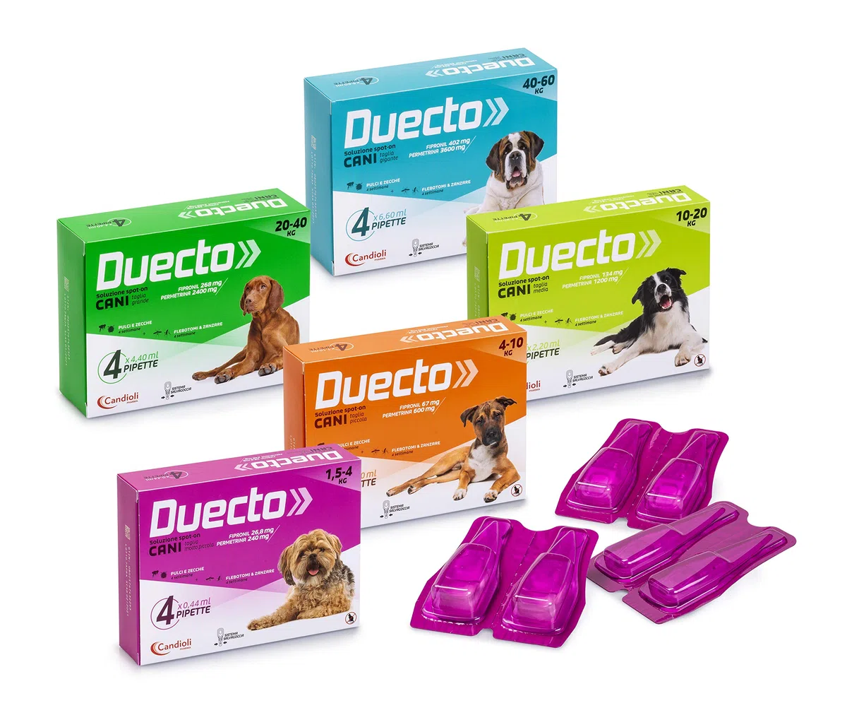 Duecto Spot on 20 kg - 40 kg