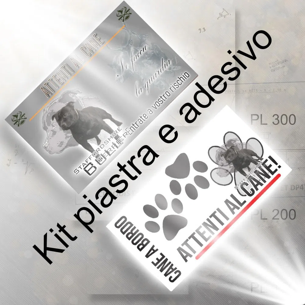 Attenti al cane Staffordshire bull terrier