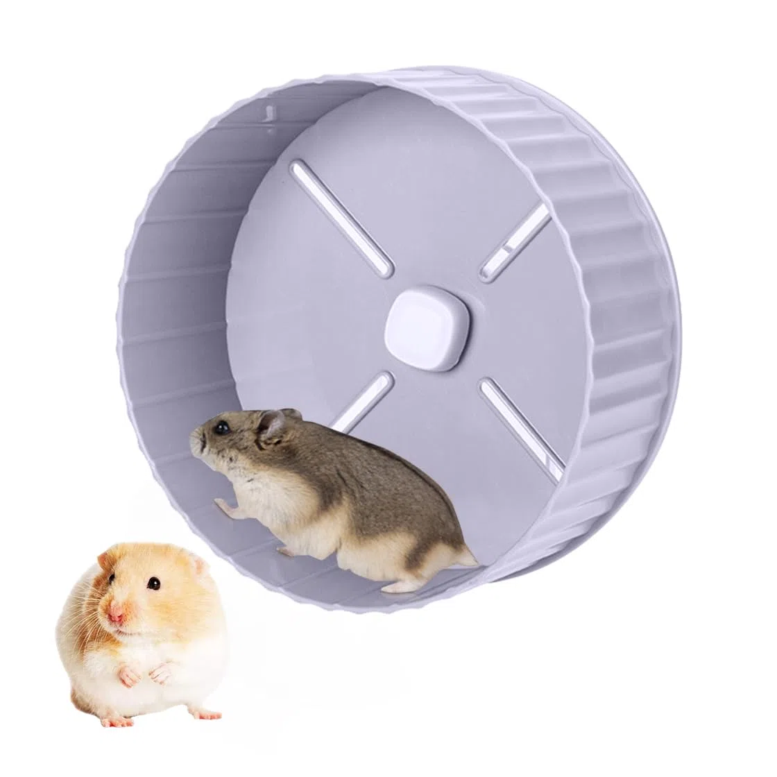 Ruota Criceto per l’Esercizio, Ruota da Corsa Silenziosa, Giocattoli per Criceti,Accessori Giochi Criceto,Silent Hamster Exercise Wheel per Porcellini d'India, Criceti Russi (grigio)