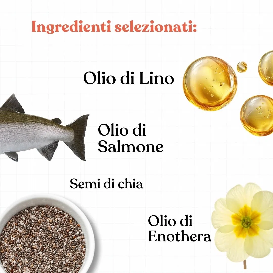 Bau Olio di Salmone per Cani Adulti con Semi di Lino ed Enotera – Omega 3 e 6 Naturali – Supporto per Pelle, Pelo Lucido e Vitalità – Integratore Liquido per Cani - Adulti