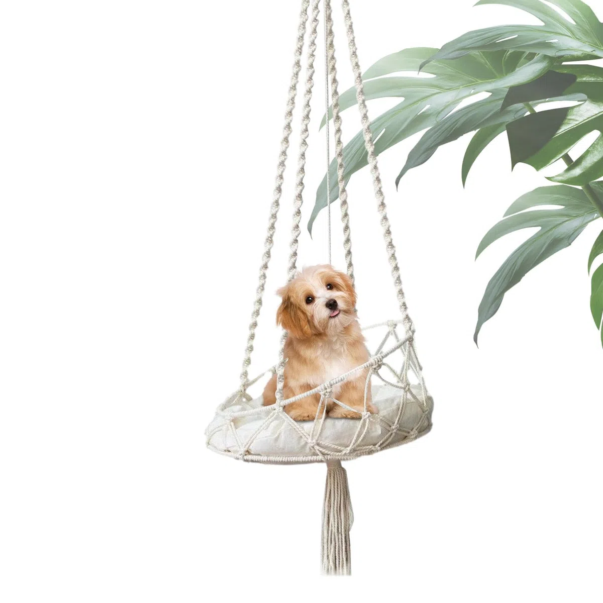 Amaca altalena per gatti, stile boho, per interni, per gatti, per giocare e arrampicarsi, con cuscino rimovibile, per patio, giardino, sala studio, balcone