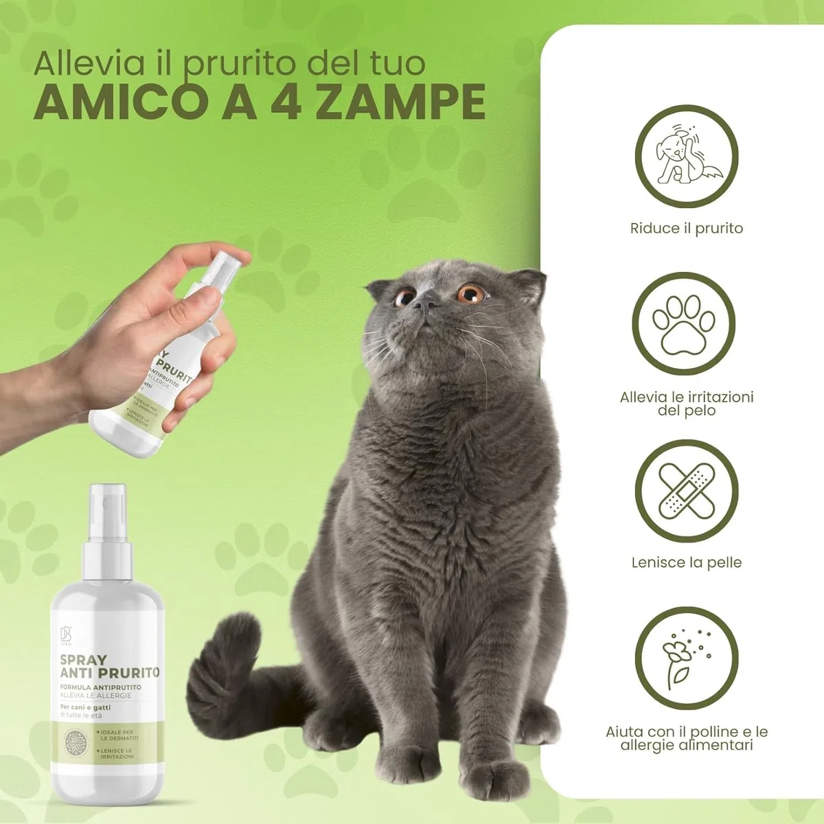 Spray Anti Prurito per Cani e Gatti 250ml | Lenisce Fastidio, Prurito e Dermatite Cane e Gatto | Formula Naturale a Base di Aloe Vera, Camomilla e Rosmarino | Sicuro, Vegan per Tutte Le età
