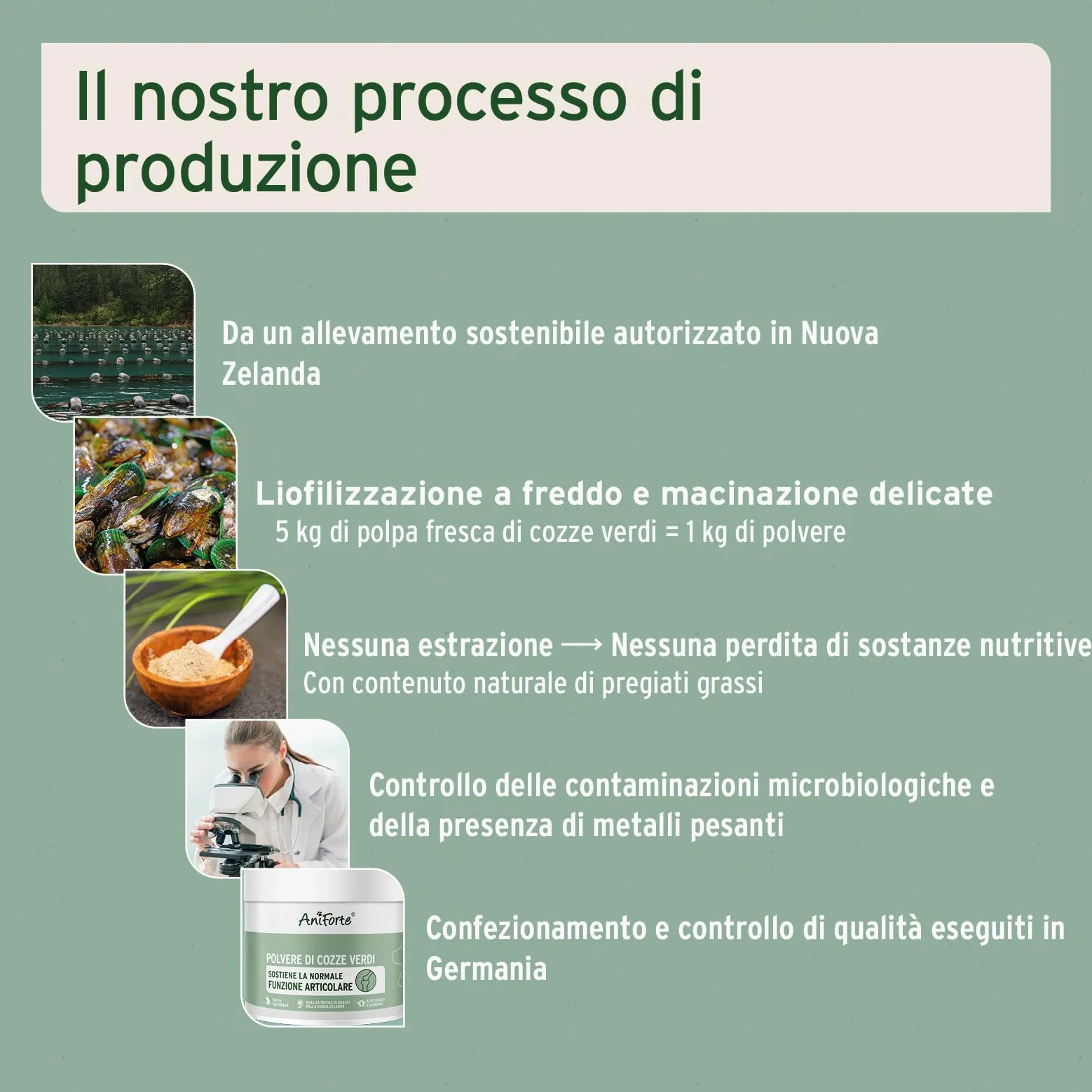 AniForte Polvere di cozze dalle labbra verdi per Cani e Gatti 100g - Polvere naturale di cozze dalle labbra verdi in qualità di grasso completo, glicosaminoglicani, supporta le funzioni articolari