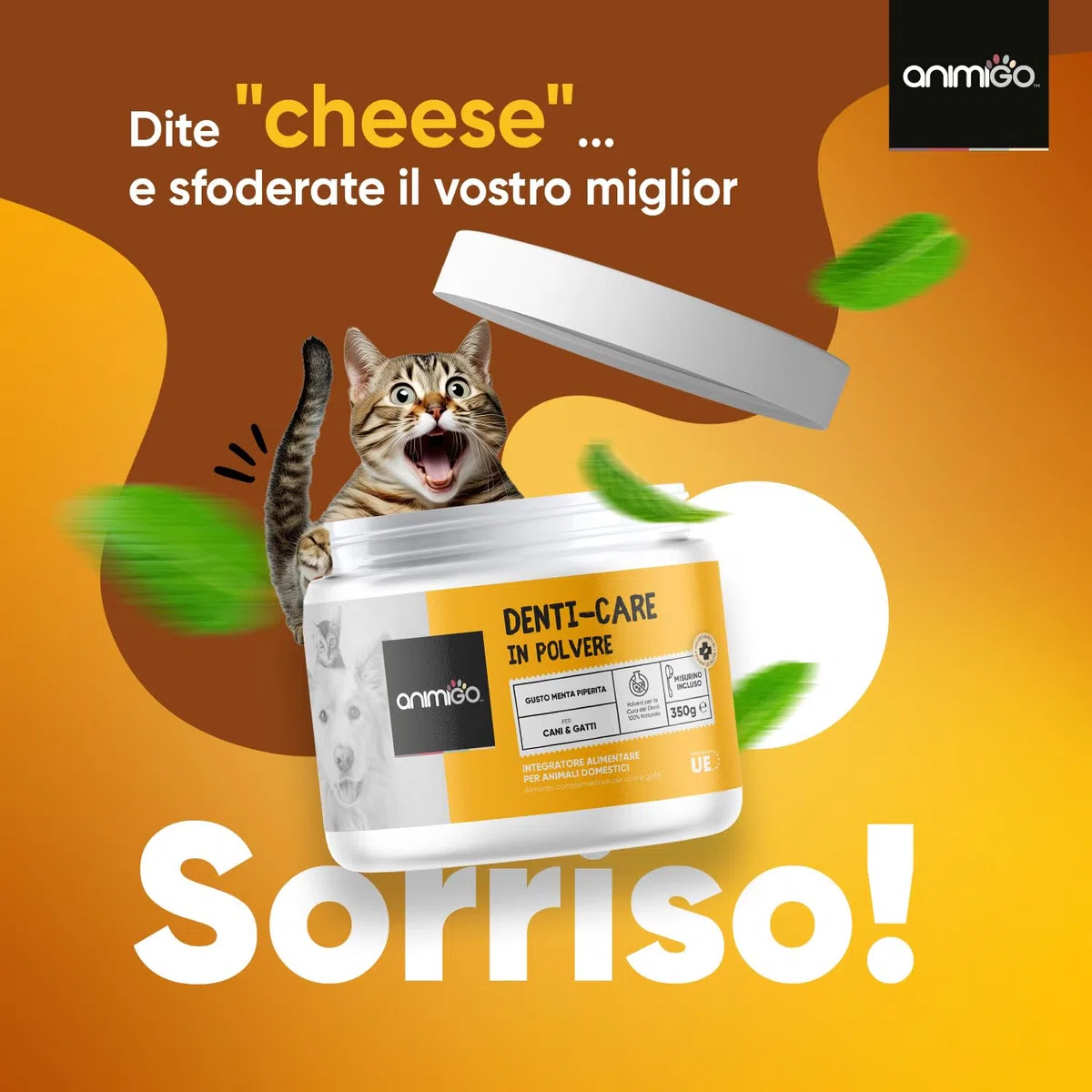 Pulizia Denti Cane e Gatto 350g in Polvere con Dosatore, Antiplacca e Antitartaro, Comoda Alternativa al Dentifricio per Cani Senza Risciacquo per Alitosi Gatto Cane, Sciogli Tartaro per Cani e Gatti