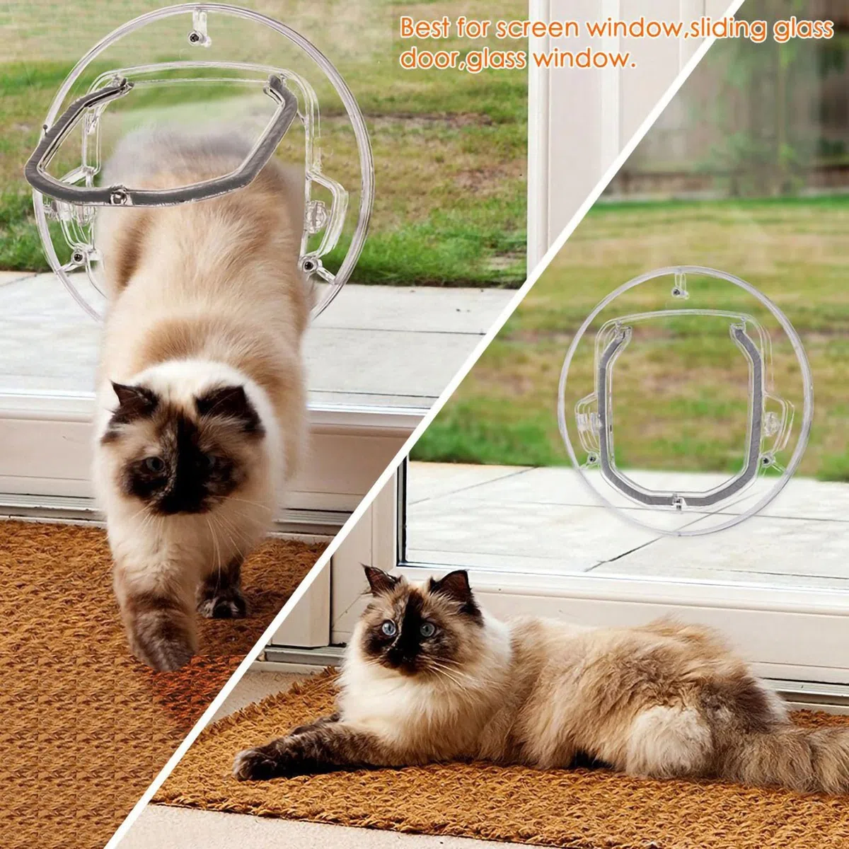 Gatto rotondo per gatti, porta in vetro per animali domestici, porta per gatti, porta per animali domestici, porta per gatti