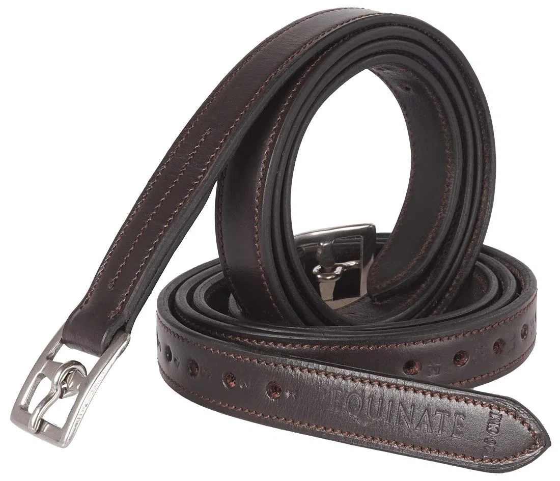 Equinate Cinghie in pelle Superior con fibbie in acciaio inox