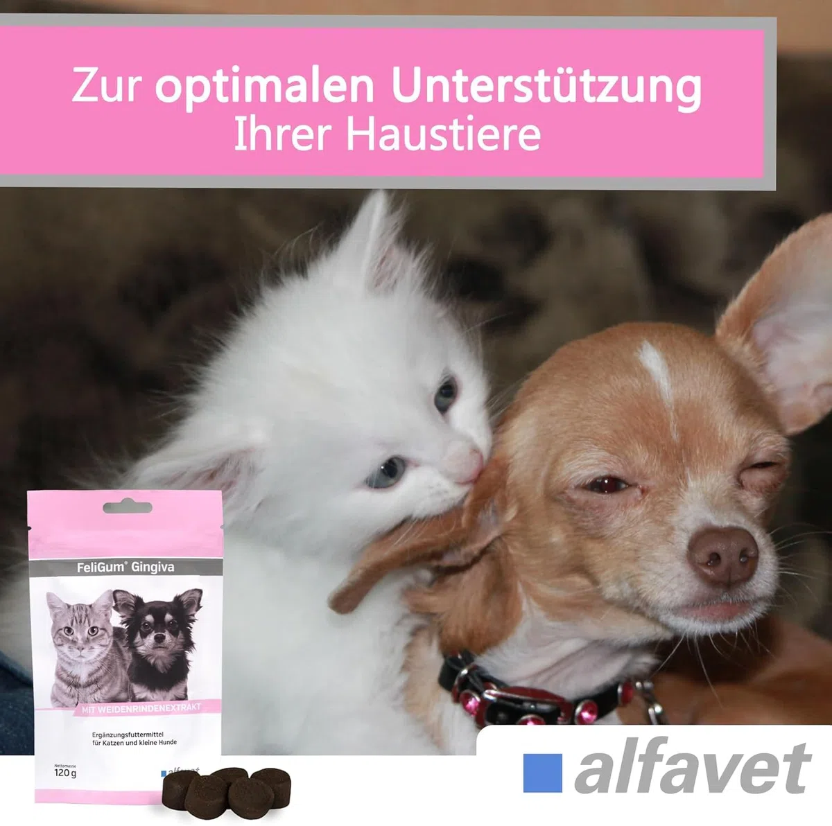 Alfavet FeliGum Gingiva (120 g) – alimento complementare per cani e gatti – soft drops per gengive e cavità orale – con Omega-3, vitamina E ed estratto di salice