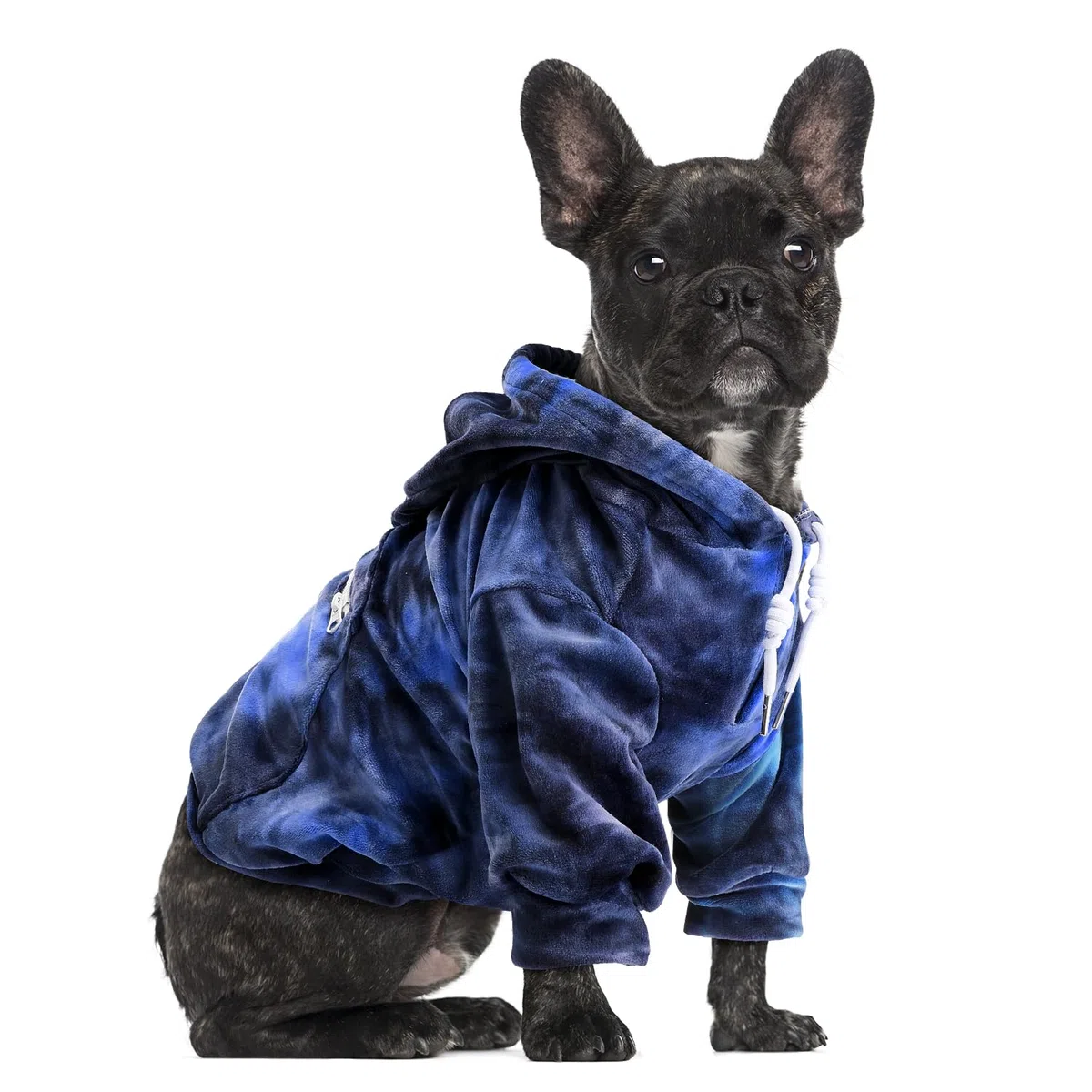 SlowTon Felpa con cappuccio Dog per cani di piccola taglia, abbigliamento per animali domestici in flanella, con portale per guinzaglio e tasca, maglione caldo per cucciolo di gatto