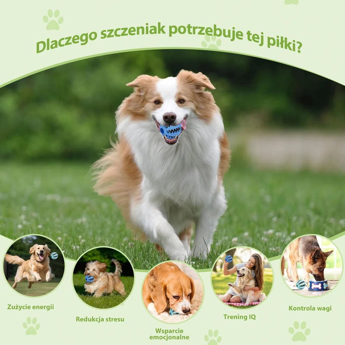 DEWEL Palla per cani giocattolo interattivo per cani giocattolo dispenser per dolcetti per animali domestici palla dentale indistrut tibile palla per la pulizia dei denti (Blu-Verde, 7CM-2PCS)