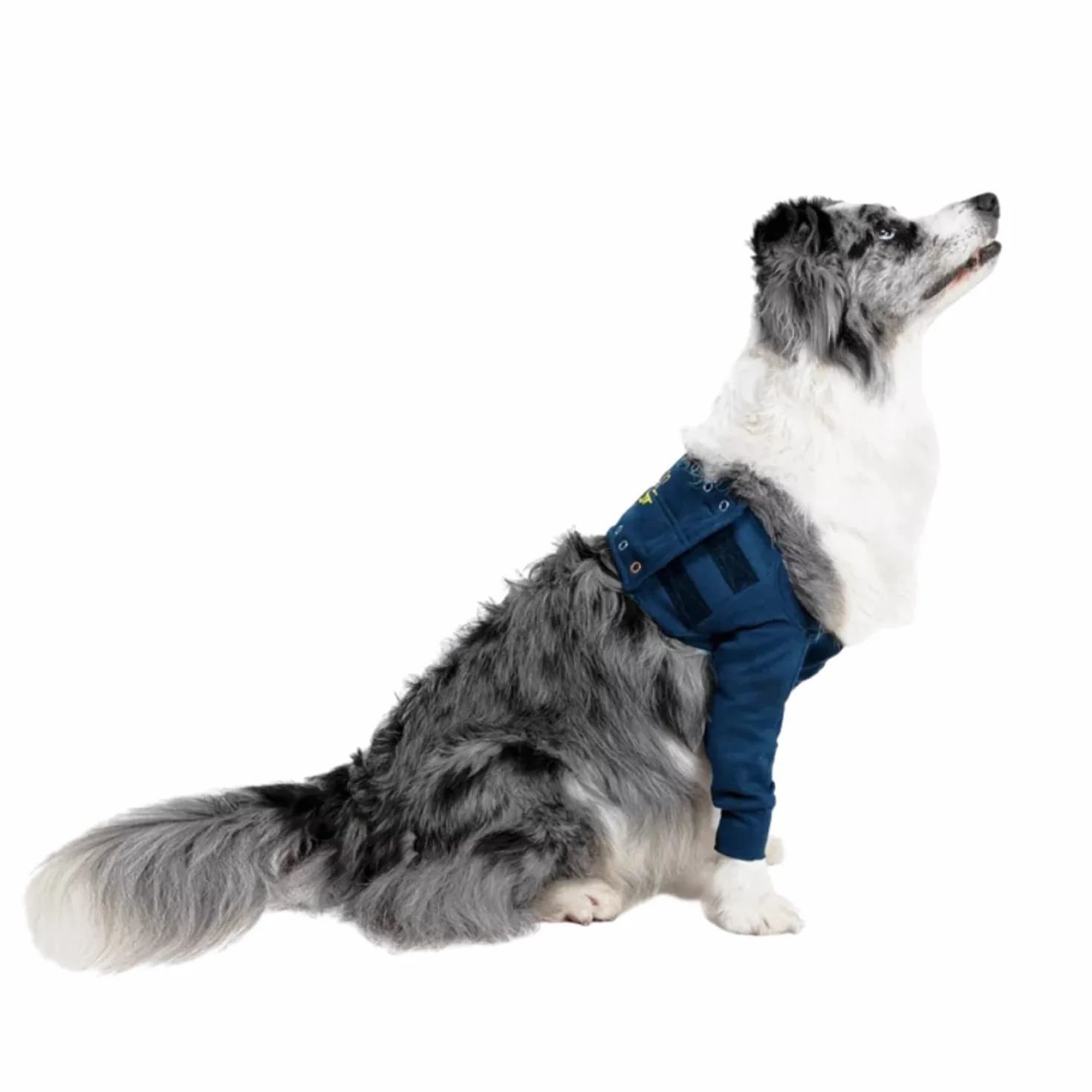 MPS Medical Pet Shirt TAZ, Manicotti per Zampe Anteriori per Cani Singoli, XXS