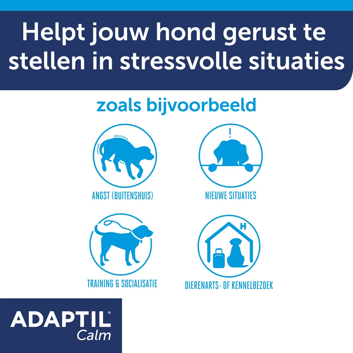 Adaptil Calm Halsband - Taglia S - Collare antistress per cani