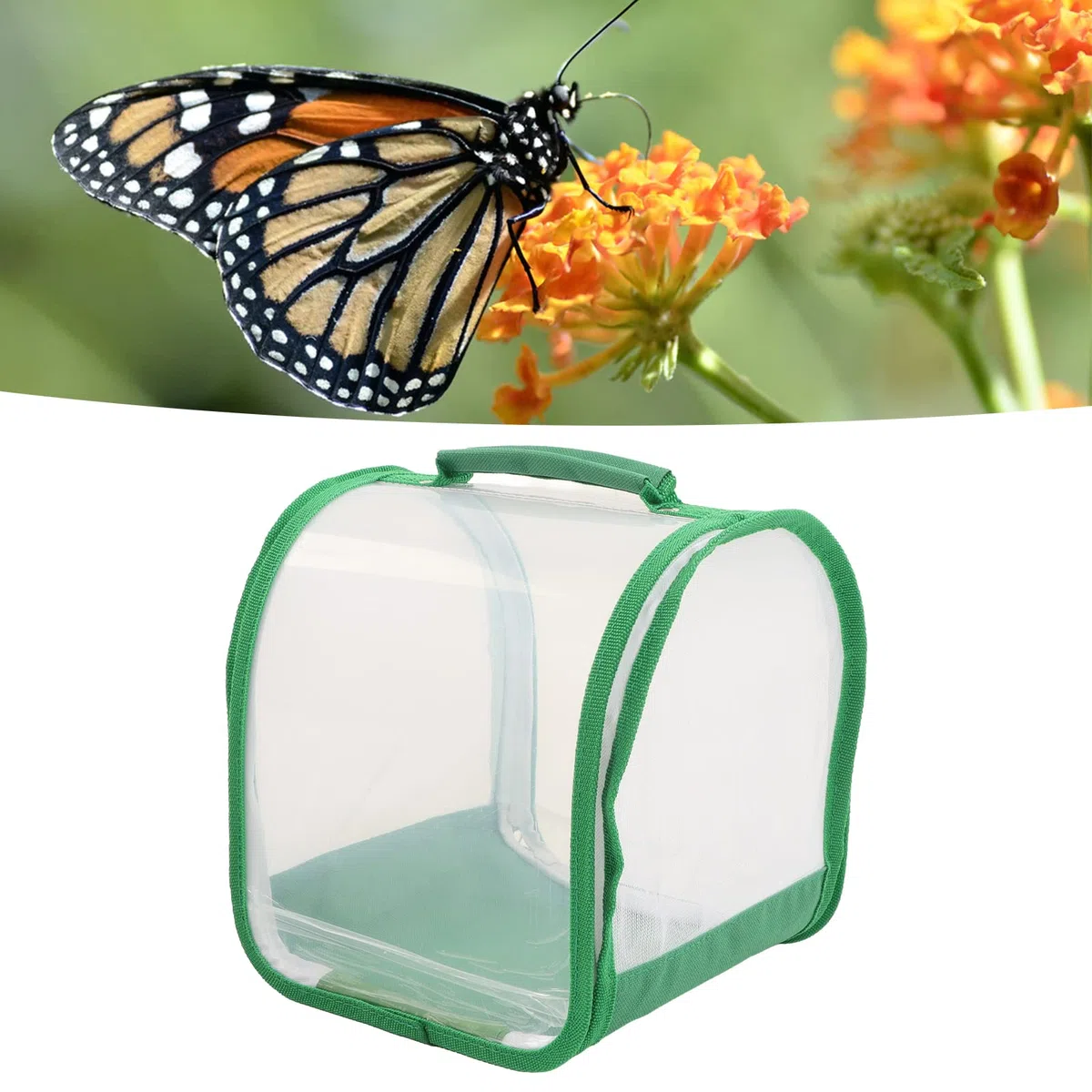 Gabbia Farfalla Monarca, Habitat Insetti Trasparente con Maniglia Portatile, Recinzione Pop-up Pieghevole per Uso Interno ed Esterno, Dimensioni 7.9x7.9x8.9 Pollici