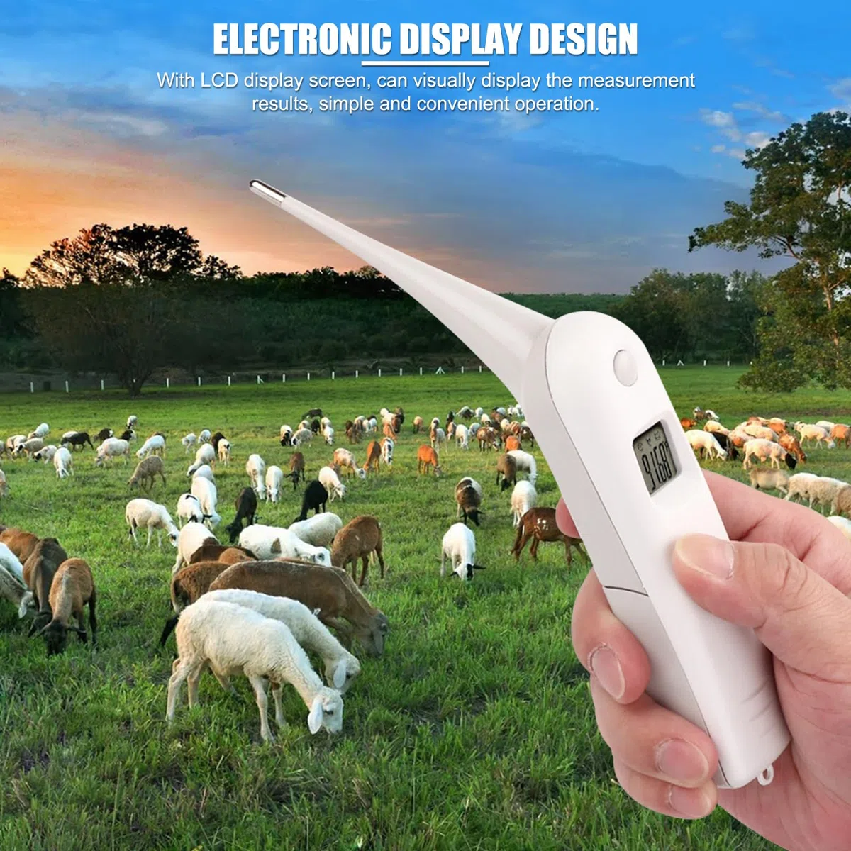 Animale Domestico Professionale Termometro Veterinario, termometro Veterinario Digitale Veloce, termometro per Animali Domestici per suini, bovini, Cani da Pastore, Cavallo (Senza Batteria)