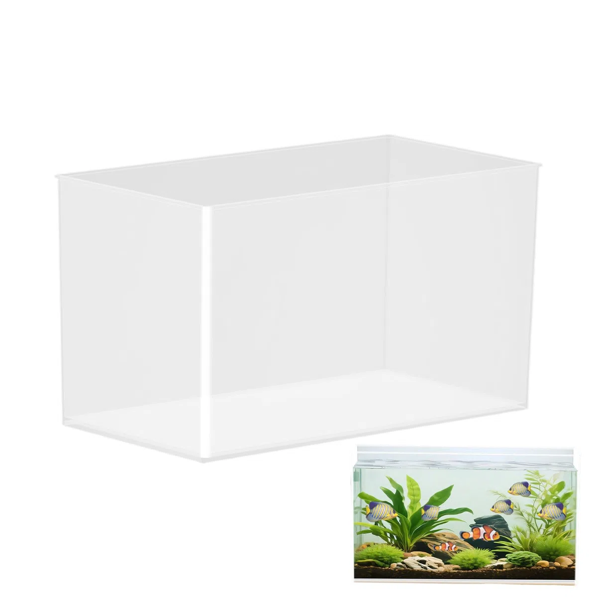 Acquario Senza Cornice - Vasca Per Pesci In Vetro Extra Trasparente, Mini Habitat Per Granchi, Terrario Da Tavolo Per Amanti Della Natura, Spazio Temporaneo Per Animali Domestici | Picco