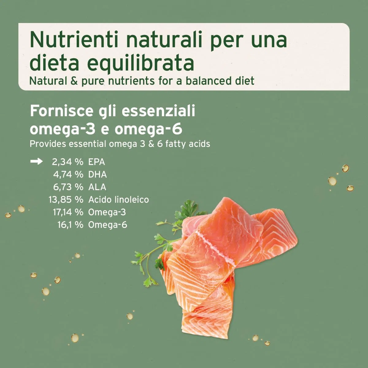 AniForte Omega 3 & 6 Olio di Salmone per Cani 1 l - Acidi grassi Omega-3, olio di pesce puro di alta qualità, integratore alimentare per cani