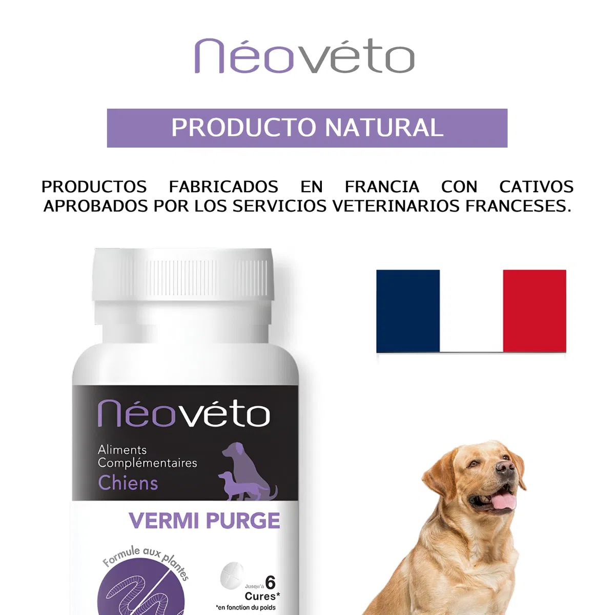 VERMIPURGE Vermifugo per cani in compresse naturali a base di principi attivi approvati dai servizi veterinari francesi (Versione francese, formato economico)