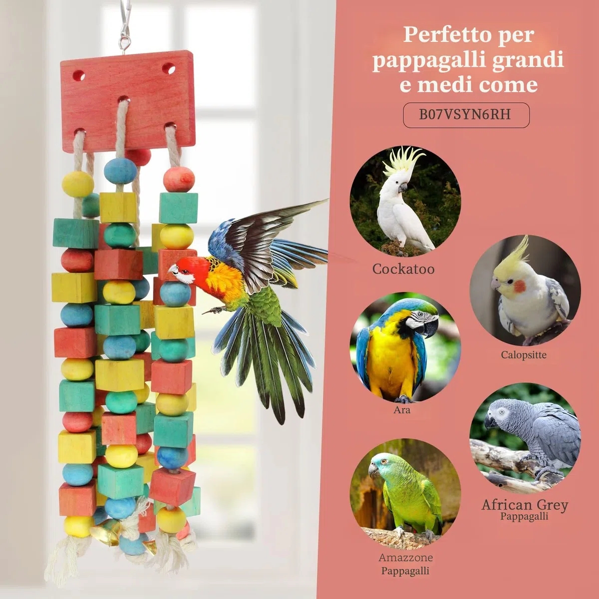 MQUPIN Giocattoli da Masticare per Pappagalli, da Appendere, Multicolore, per Piccoli Pappagalli, Calopsitte, Africani Grigi (Colorati)