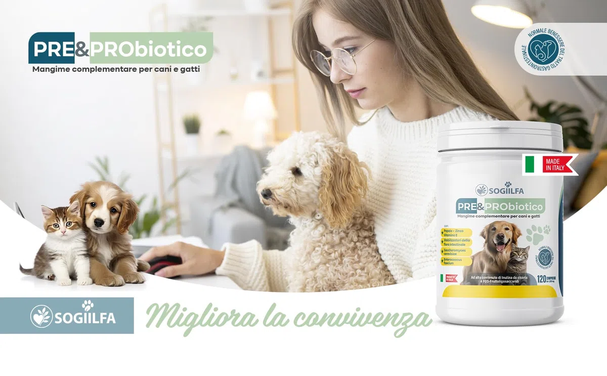 Fermenti lattici cani 120 pz probiotici per cani e gatti, probiotici per intestino con Enzimi digestivi vivi.Probiotico per cani e gatti naturale rilassante. Pastiglie cane per prurito e dermatite