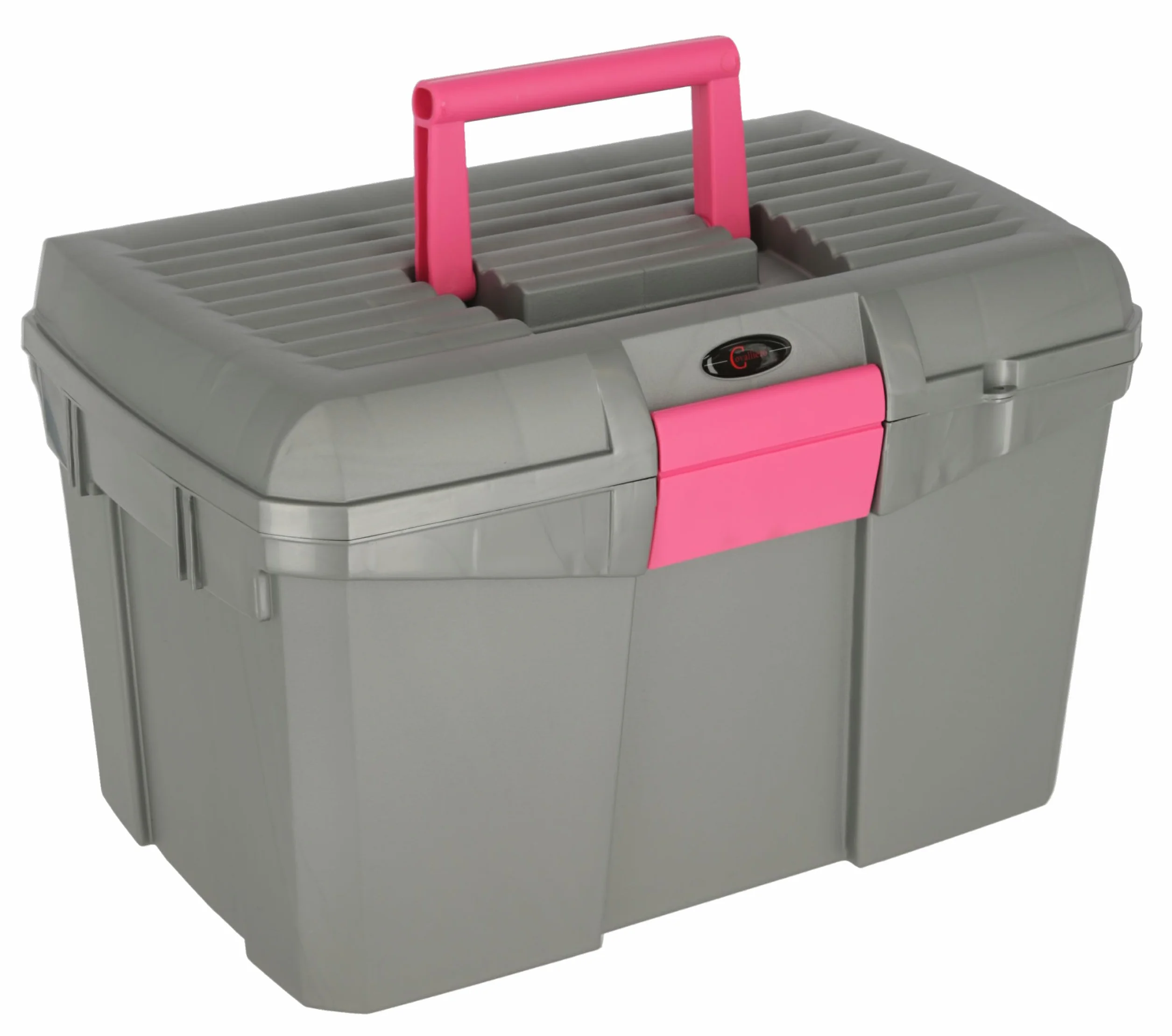 Covalliero Box puizia Siena Grigio/Rosa con Inserto Estraibile