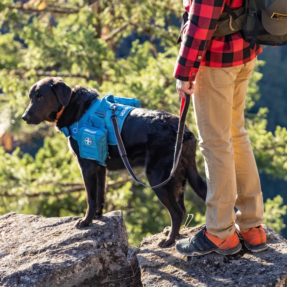 Kurgo RSG - Kit di Primo Soccorso per Cani - Formato Compatto per Attività all’Aperto e Trekking con Custodia Compatibile MOLLE e Tasca ad Apertura Facile