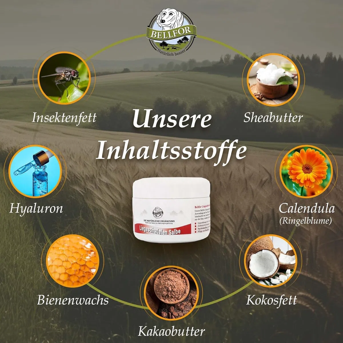 Bellfor Crema per Calli Cane con Grasso di Insetti e Olio di Cocco - 30 ml. Unguento Naturale per i Calli sui Gomiti nei Cani. Cura Antibatterica e idratante per Calli, Pelle secca e Rughe nei Cani