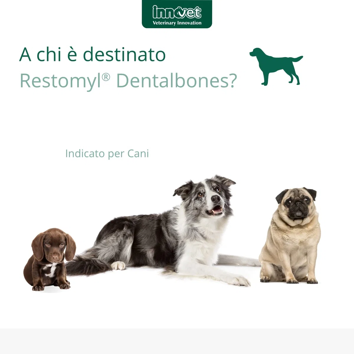 Restomyl Dentalbones per Cani - Supporto Nutrizionale, Migliora l'Alito e Aiuta a Controllare la Formazione di Placca e Tartaro - Pratici Ossetti Masticabili