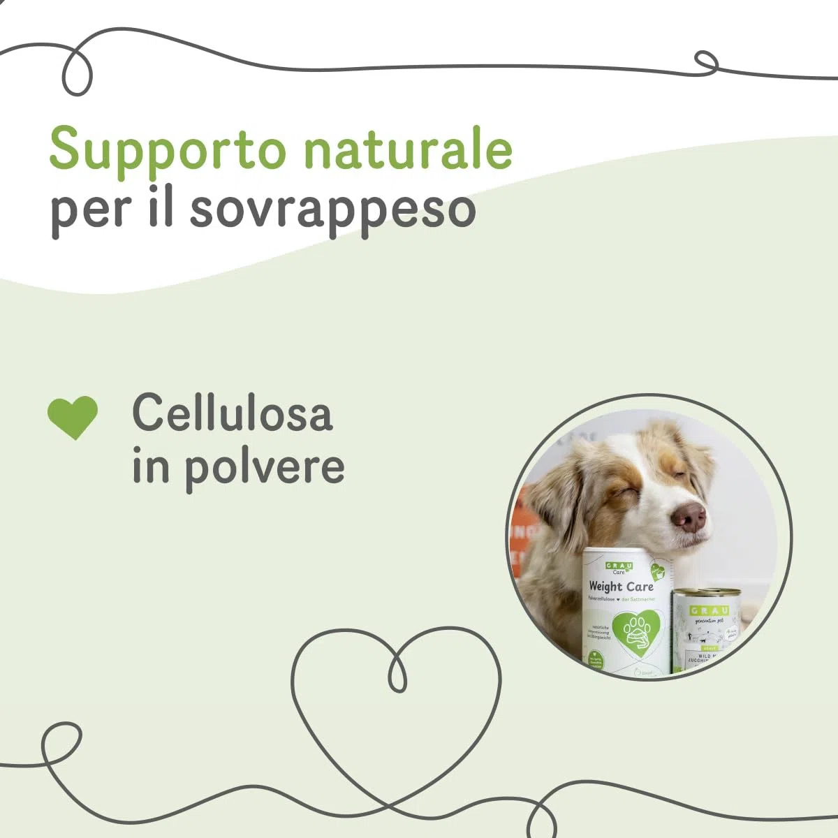 GRAU – Weight Care, confezione da 1 (1 × 600 g), alimento complementare per cani e gatti