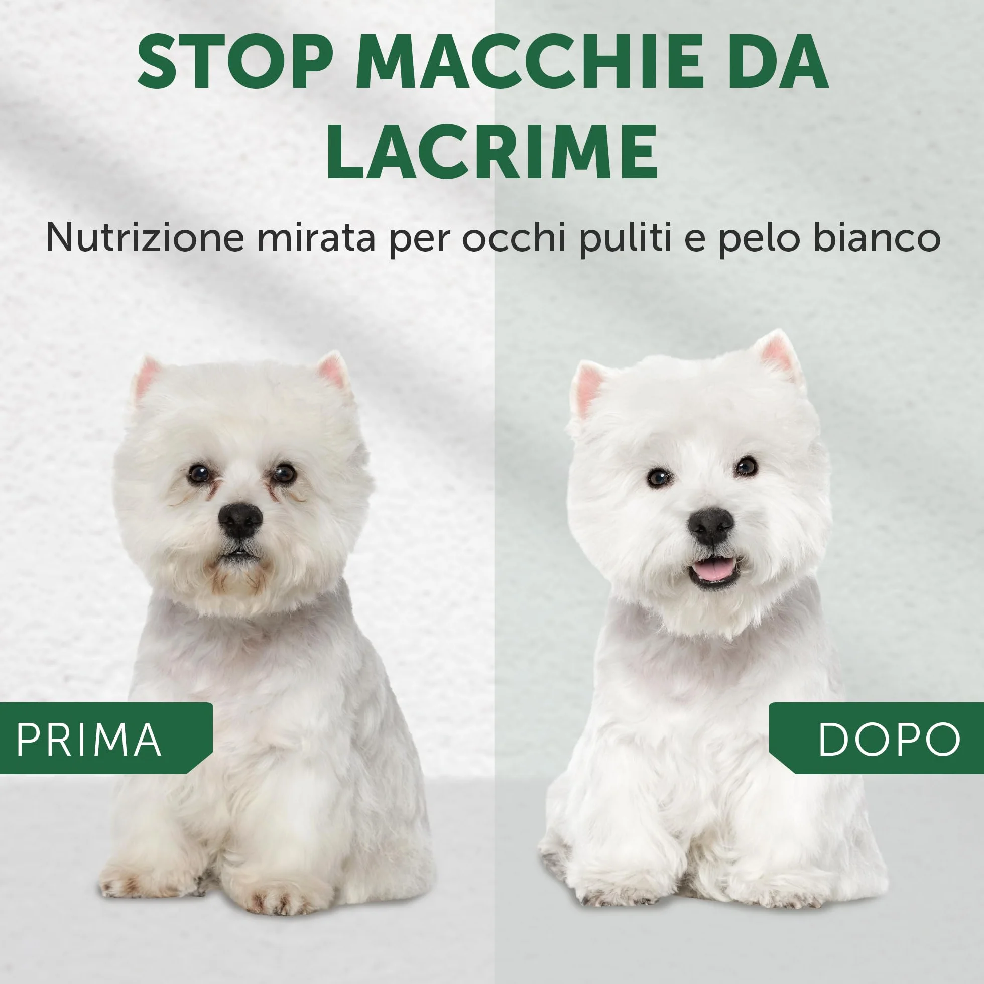 Nature's Protection Superior Care White Dog Aringhe Senza Cereali Piccoli pani Adulti 1.5 kg.