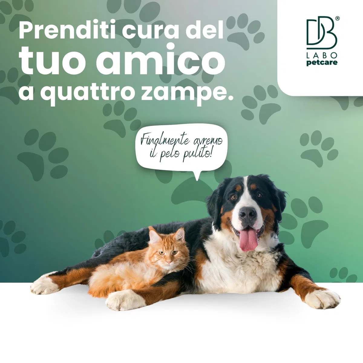 Db Labo - Olio Di Neem per Cani 750ml - Spray Olio Neem Repellente per Cani Sgradito a Zecche, Pulci, Zanzare e Insetti - Azione Naturale con Aroma Piacevole abbinabile a Repellente Antipulci
