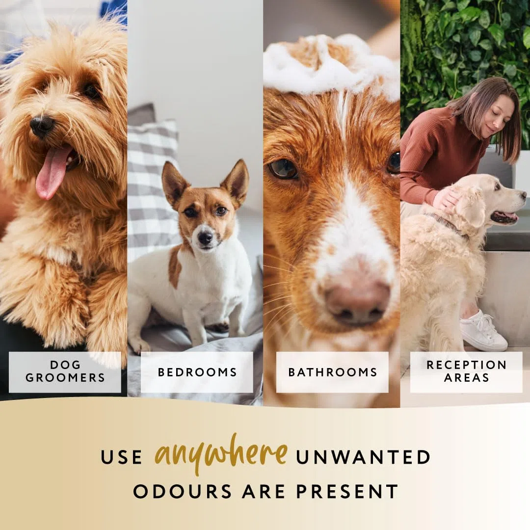 PowAir Pet Odour Destroyer Gel – Neutralizzatore naturale di odori per cani e gatti, sicuro e di lunga durata, elimina gli odori degli animali domestici fino a 60 giorni (400 g)