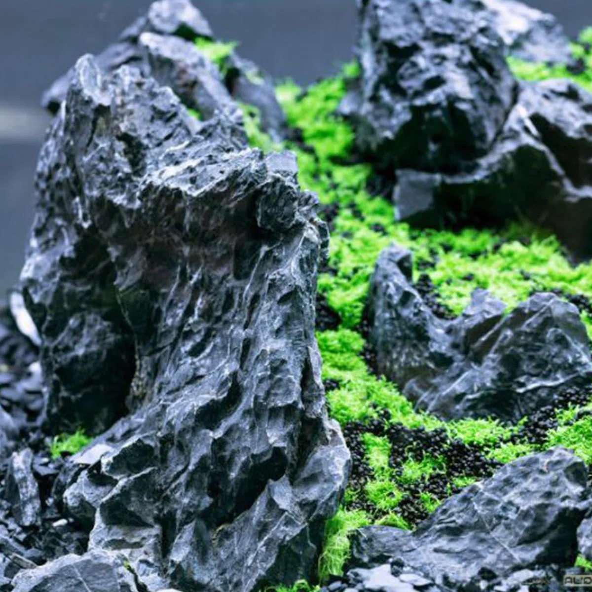 Seryu Dark Rocce Naturali per Acquario e Nano Garden - Mix Irregolare per Layout Selvatico e Naturale, Confezione da 500/700gr