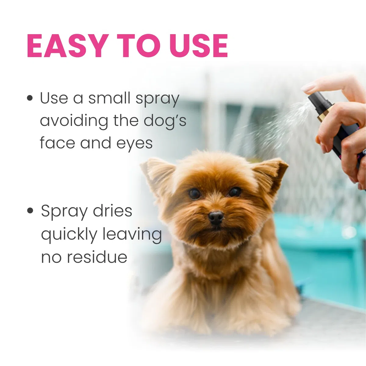 The Pawfume Shop Dog in A Million Pawfume Spray per Cani