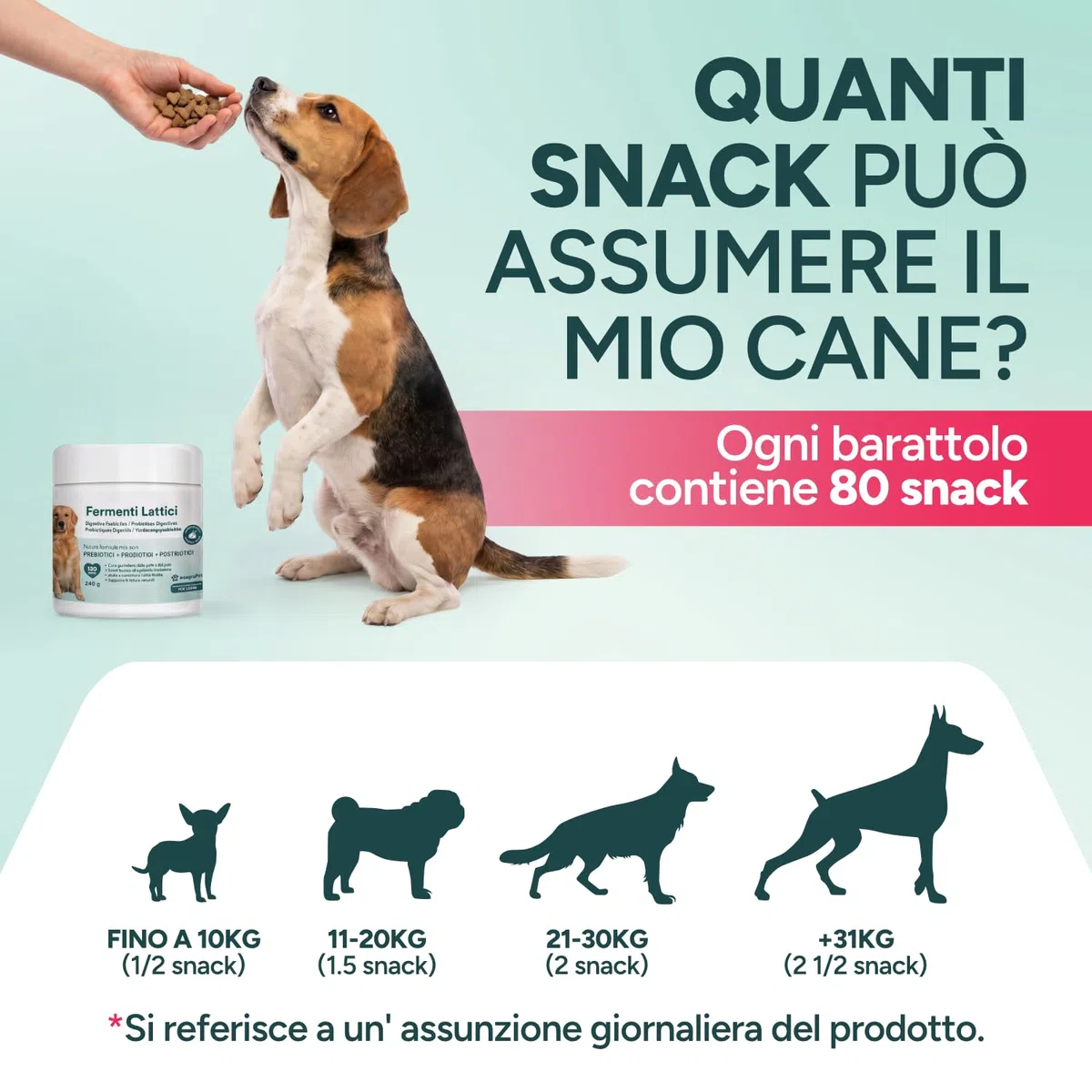Probiotici Cane Prurito e Alito Cane – Probiotici e Prebiotici Digestivi Snack Naturali, 120 Masticabili Gusto Pollo, Prodotti per Cani per Benessere Intestinale e Pelle