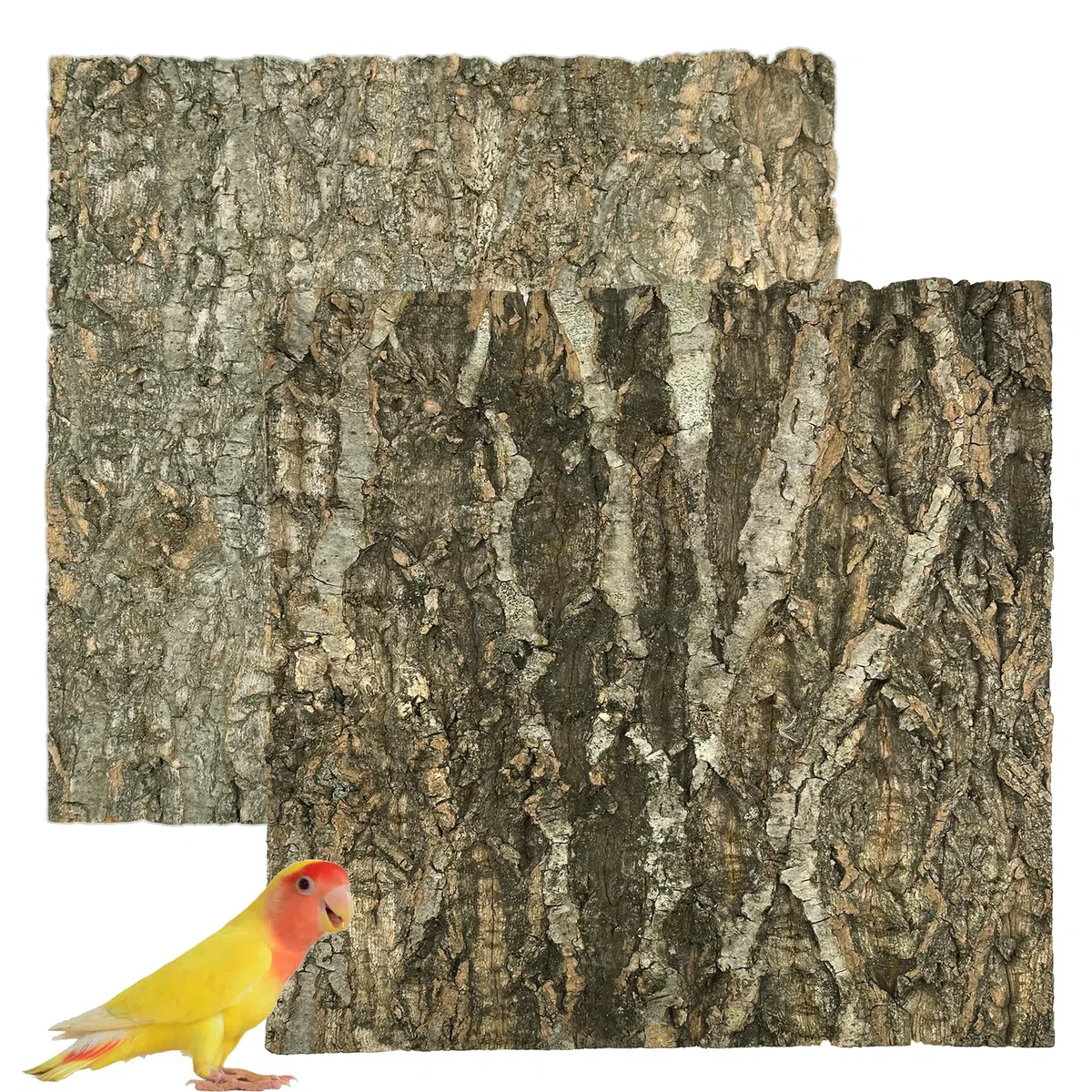 Sughero Terrario Sfondo, Decorazione di Corteccia di Rettile, Fondo Corteccia di Sughero per Terrario Decorazione per Tartaruga Lucertola (2PCS, 30 x 30 cm)