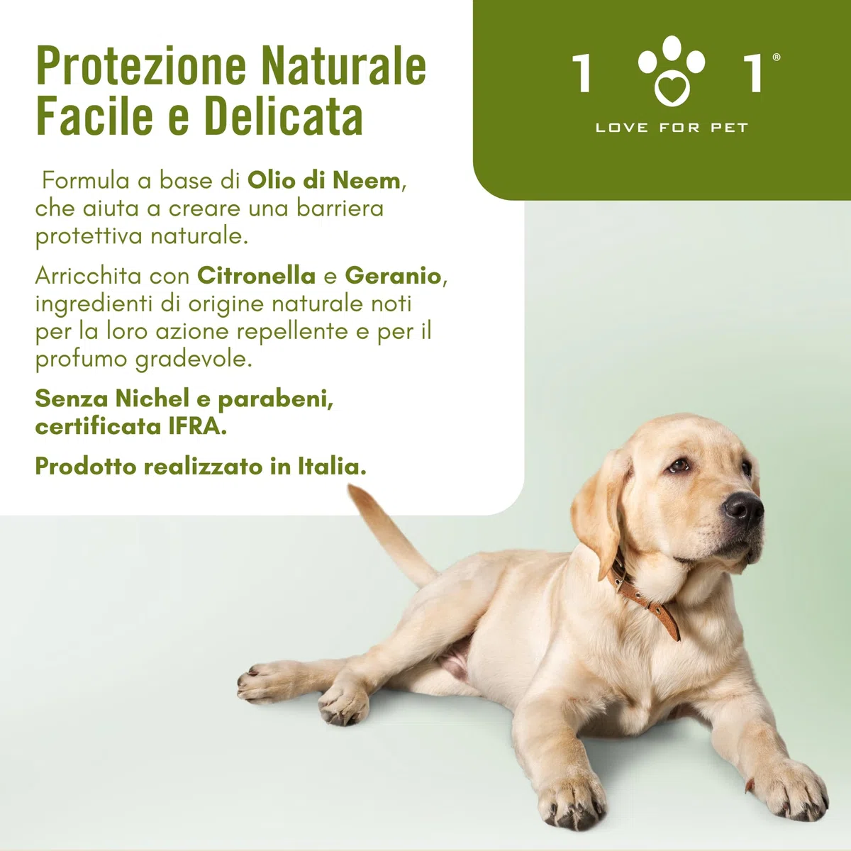Olio Di Neem Per Cani e Gatti 250ml Protezione Vegetale Spray Antizanzare Cane, Repellente Zecche Cane, Antiparassitario Naturale Per Cani, Antipulci per Gatti, Antiparassitario per Gatti